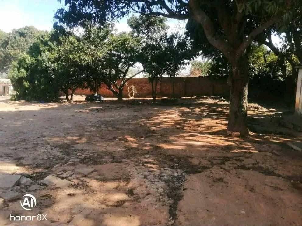 Location · Trano Ahofa (2e étage) · Talatamaty Ambohinambo, Antananarivo - photo 7