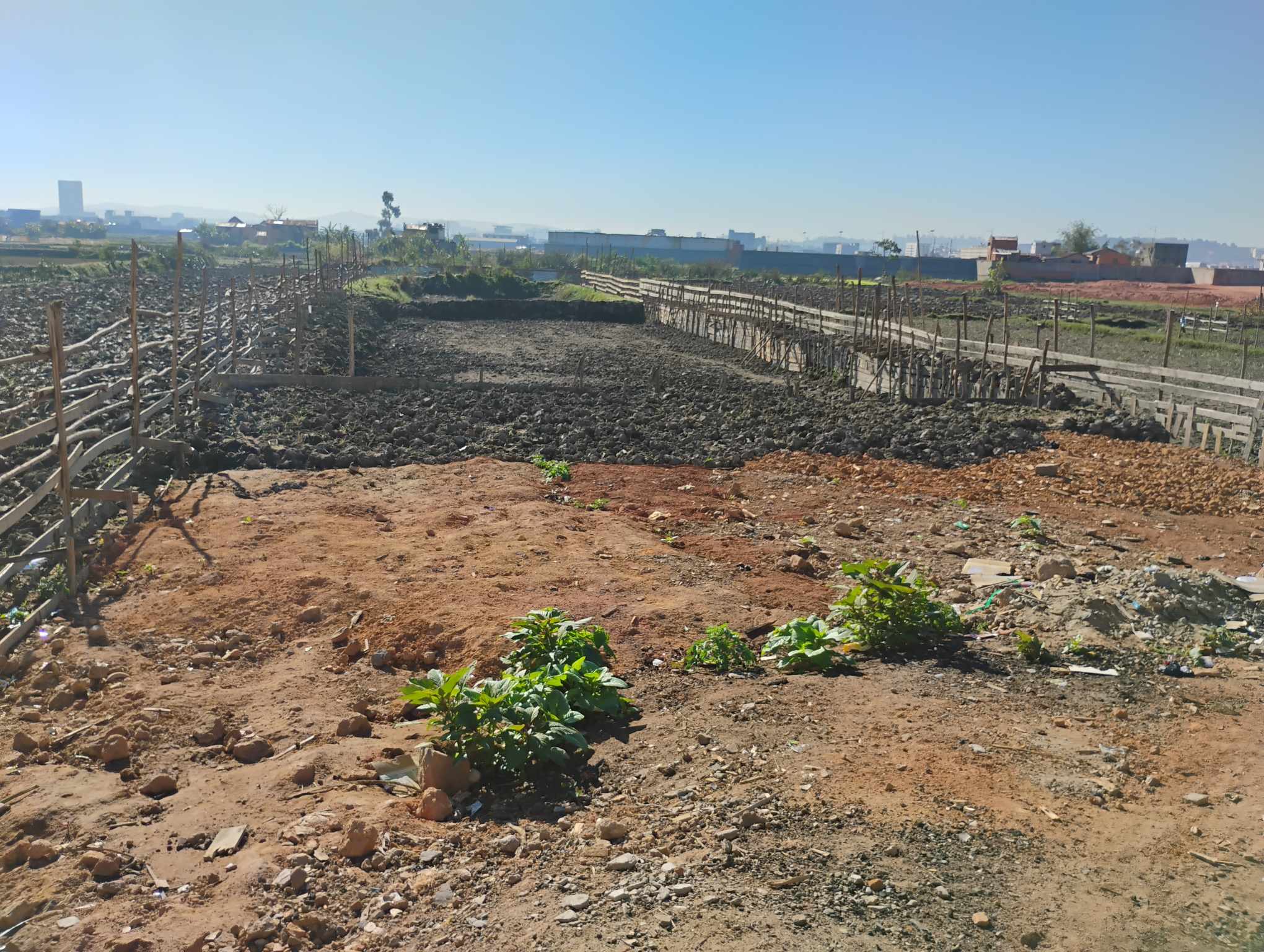 Vente · Terrain · Rocade Andohatapenaka, Antananarivo - photo 2