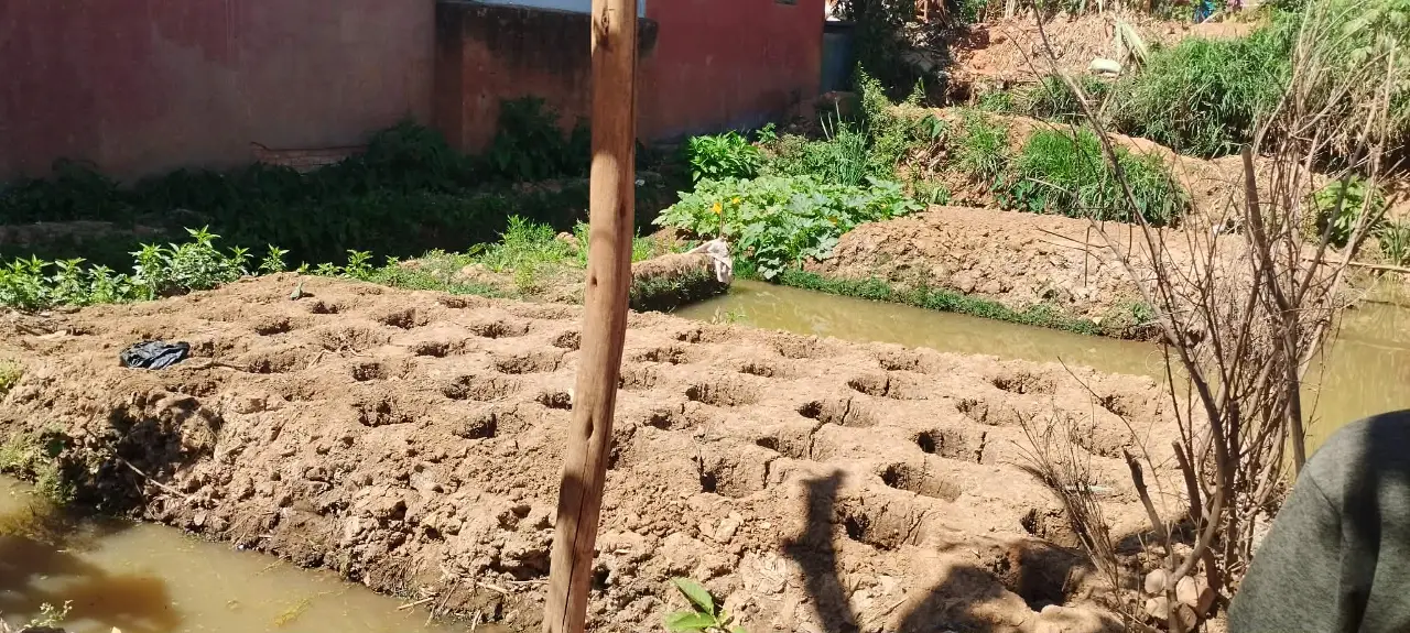 Vente · Terrain · Ivandry, Antananarivo - photo 5